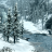 Winter Forest (Live Wallpaper)
